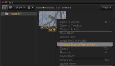 Select Change Source Frame Rate